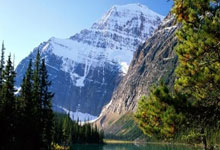 阿拉维斯客场顽强逼平对手，展现坚韧斗志的精神力量