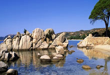 德国国家队精诚合作，刻苦训练迎接新赛季的辉煌未来