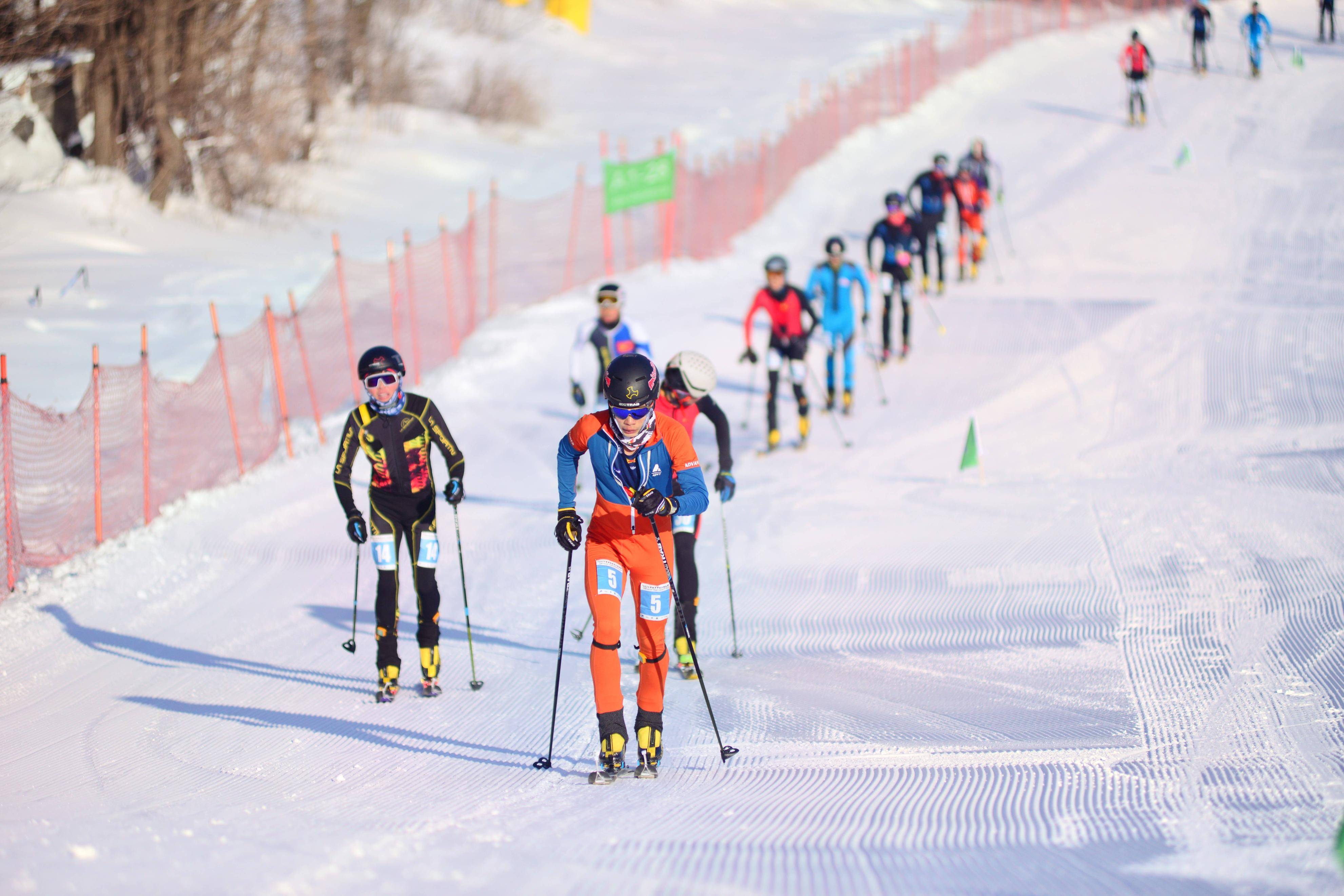 韩国代表团在滑雪比赛中表现出色